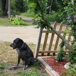 Meet your Posher, Denise